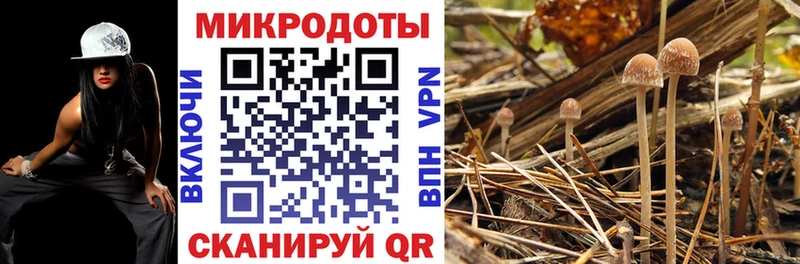 MEGA сайт  Ялуторовск  Галлюциногенные грибы Psilocybine cubensis 